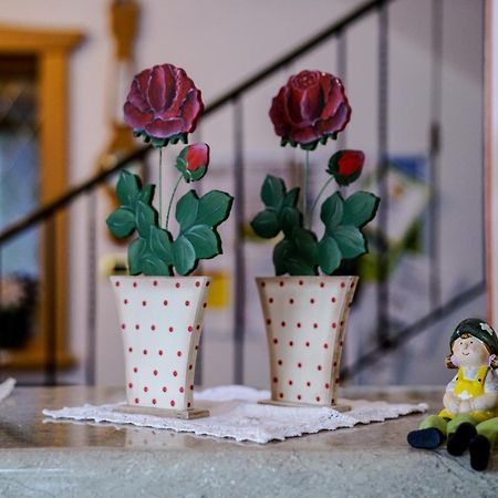 Bed and Breakfast Garni Crepaz Сельва-ди-Валь-Гардена Экстерьер фото
