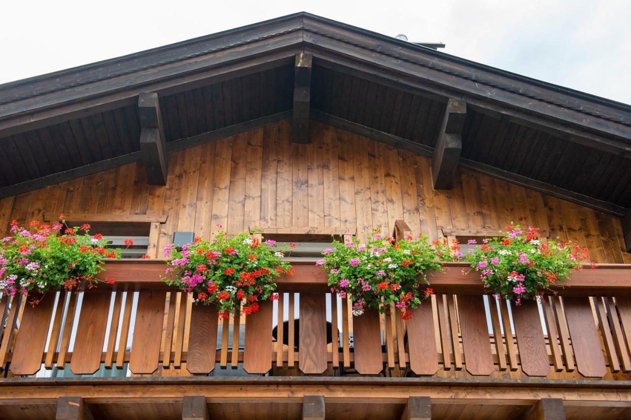 Bed and Breakfast Garni Crepaz Сельва-ди-Валь-Гардена Экстерьер фото